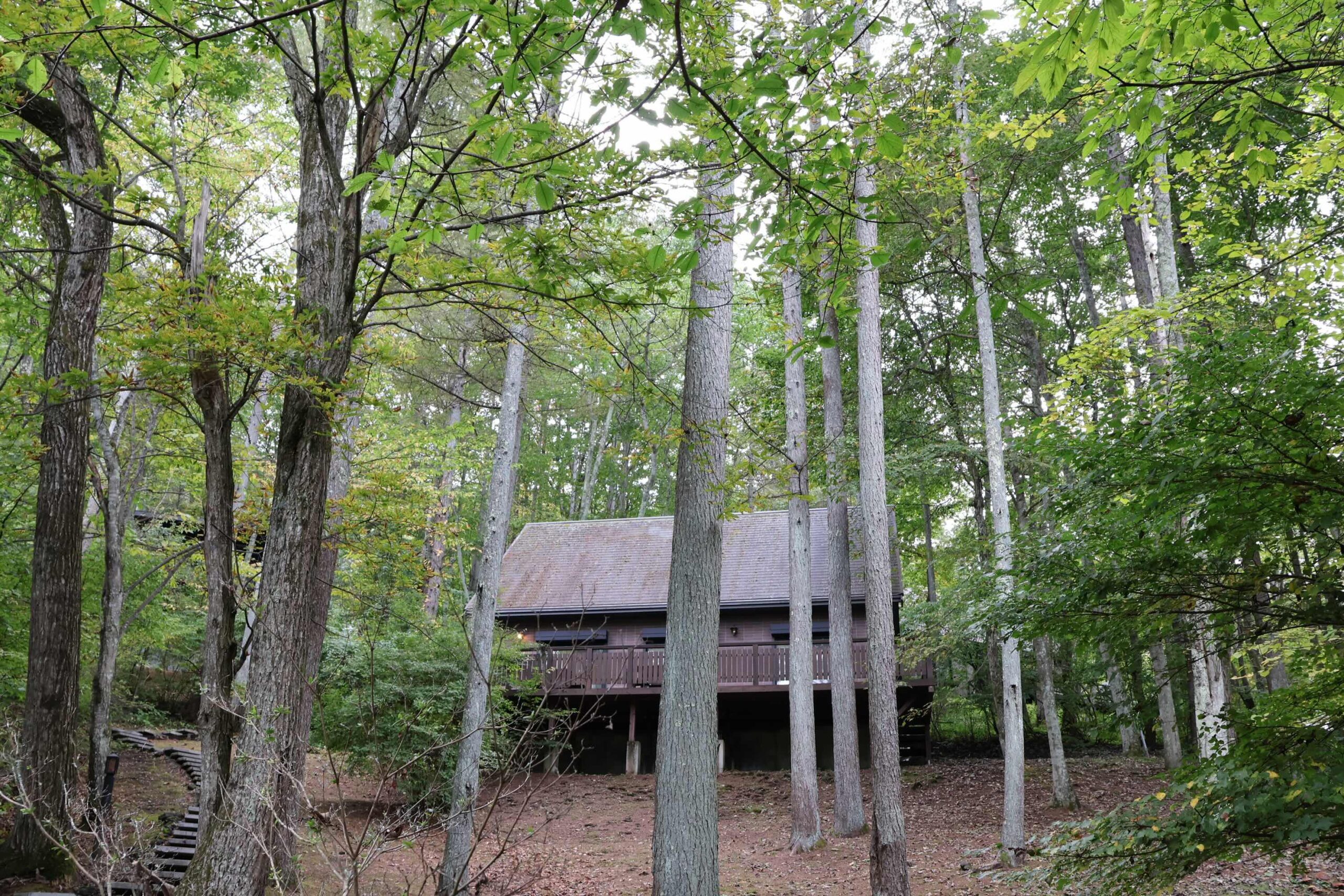 森の静寂に守られた、心ほどける高台のヴィラ - 4