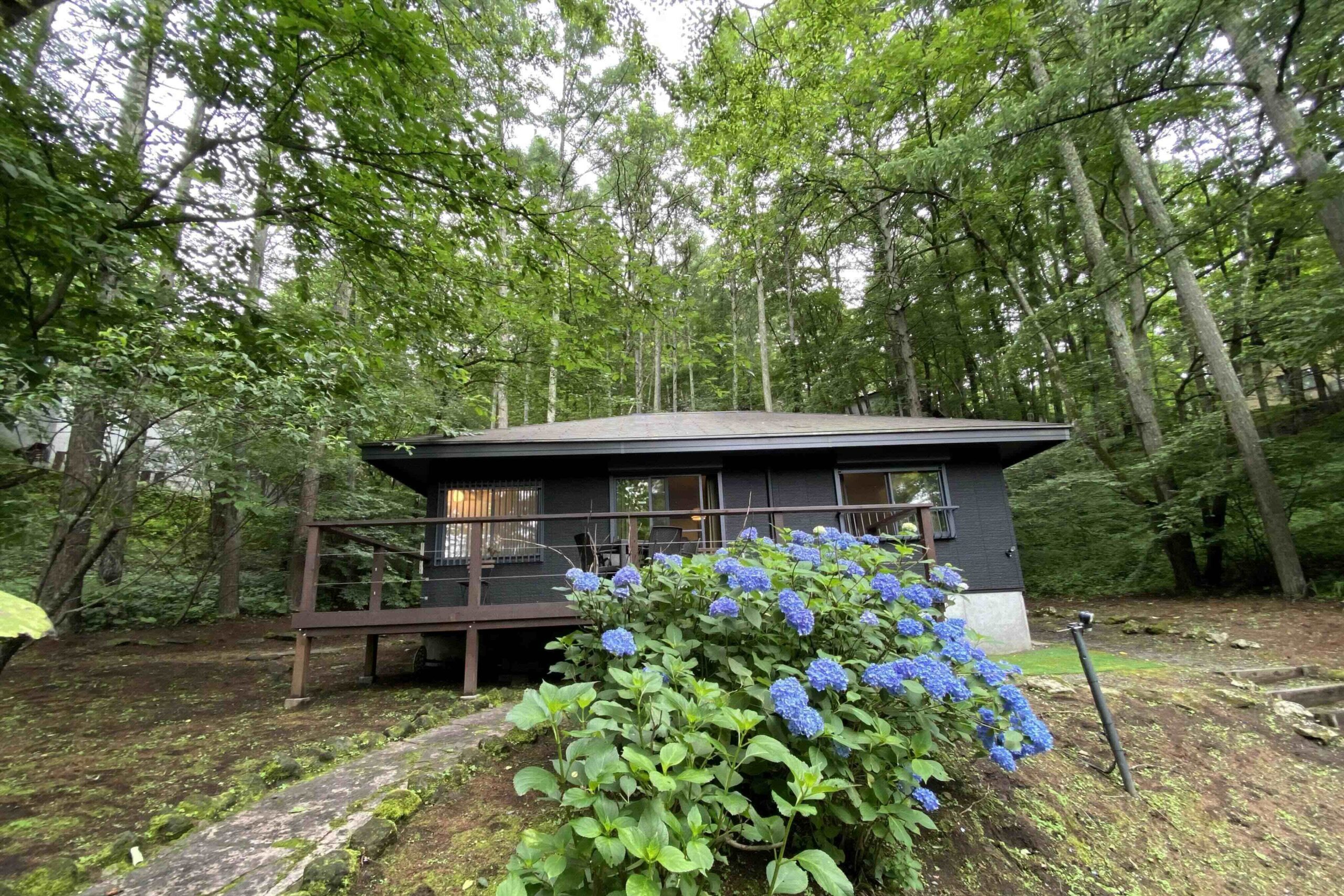 メインゲートから離れた静かな森に佇む - 3