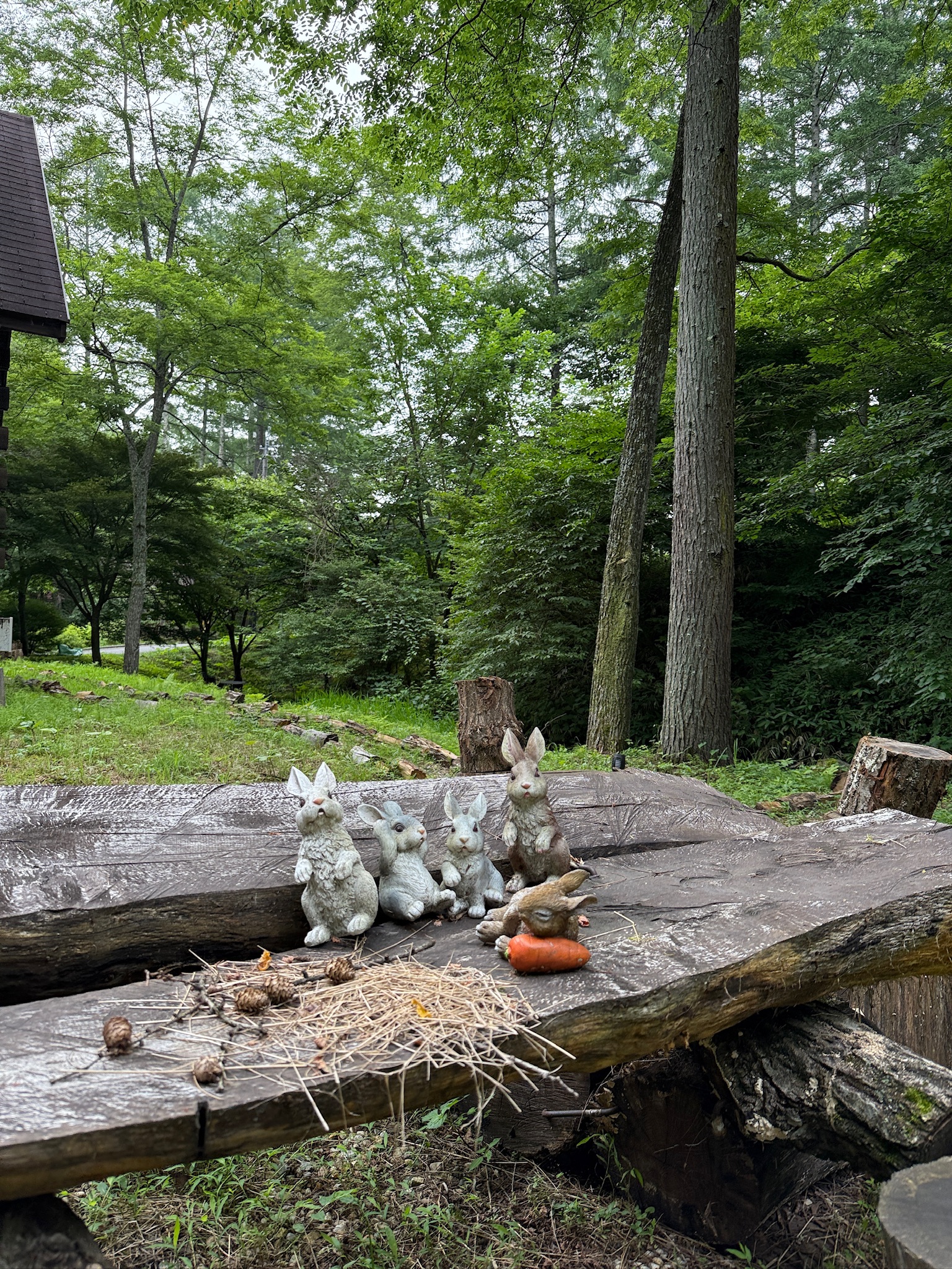 せせらぎの音に包まれるログハウス - 1